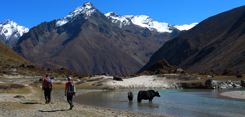 Jomolhari Trek