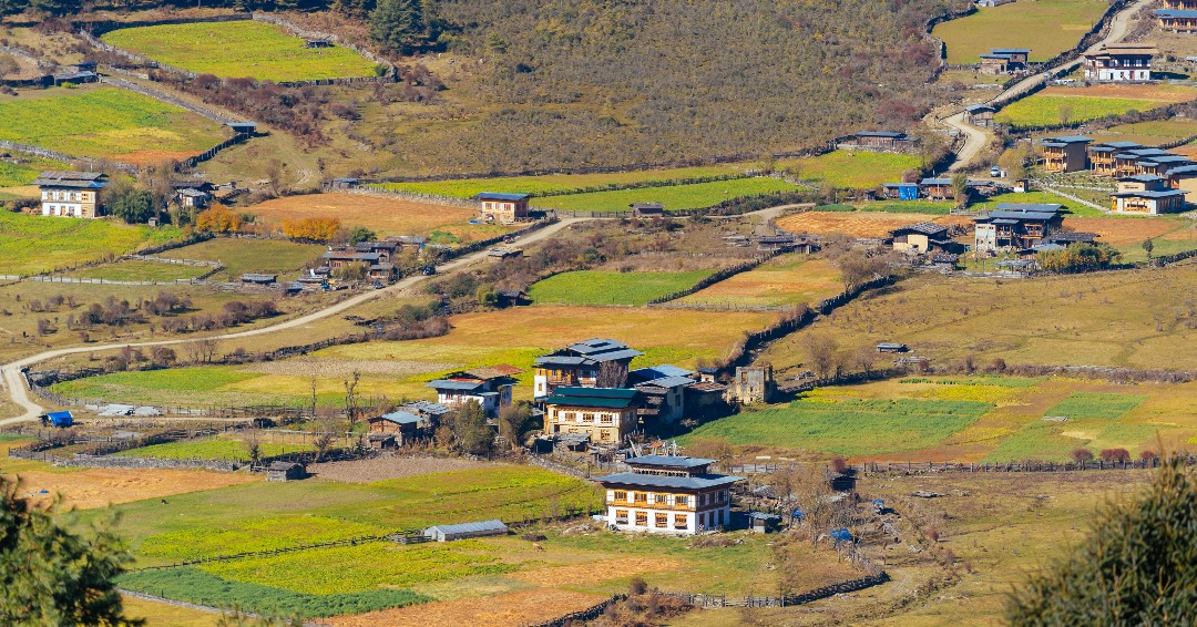 Gangtey Valley