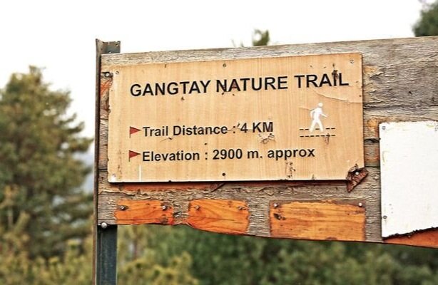 Gangtey Trail