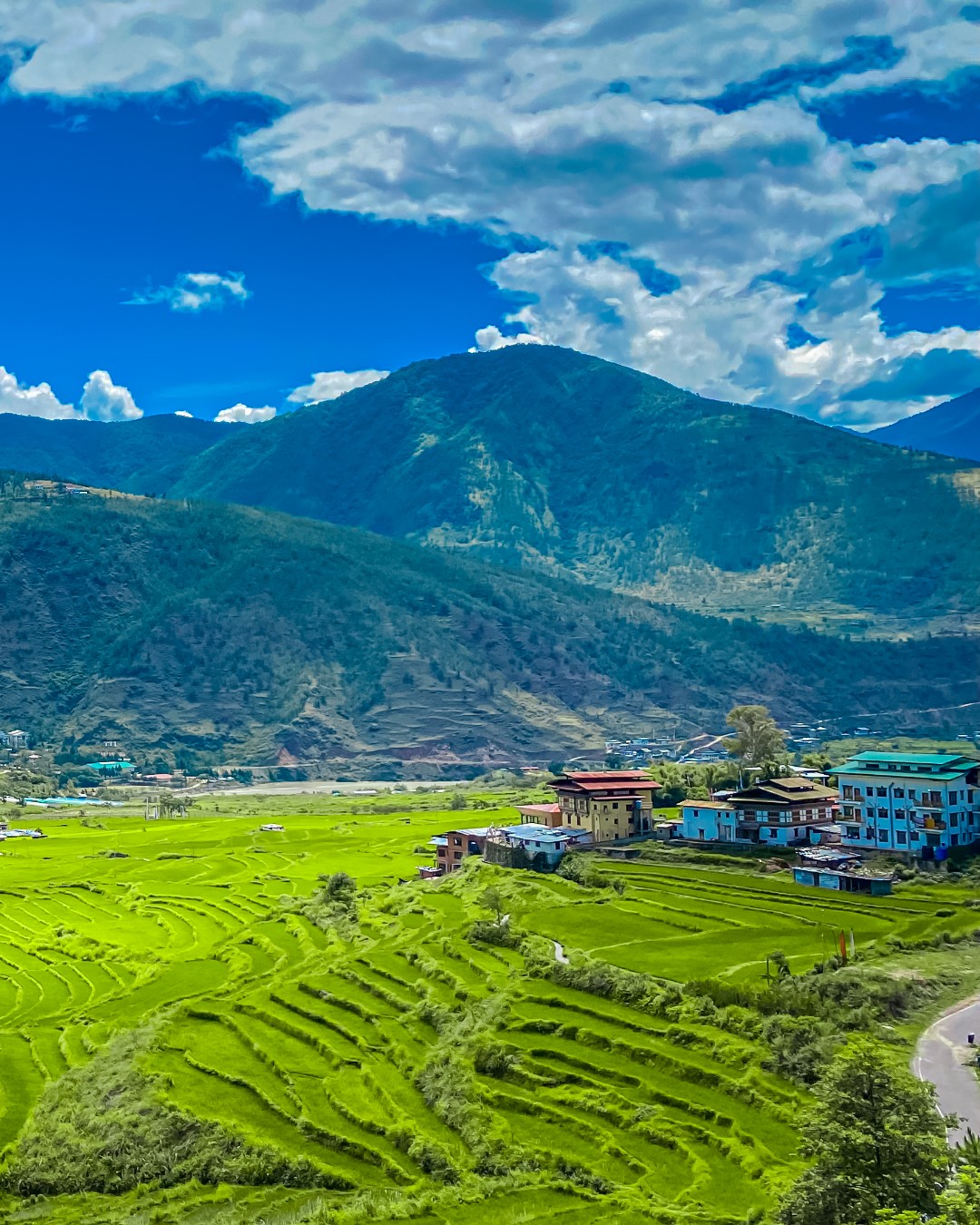 Bhutan Greenery