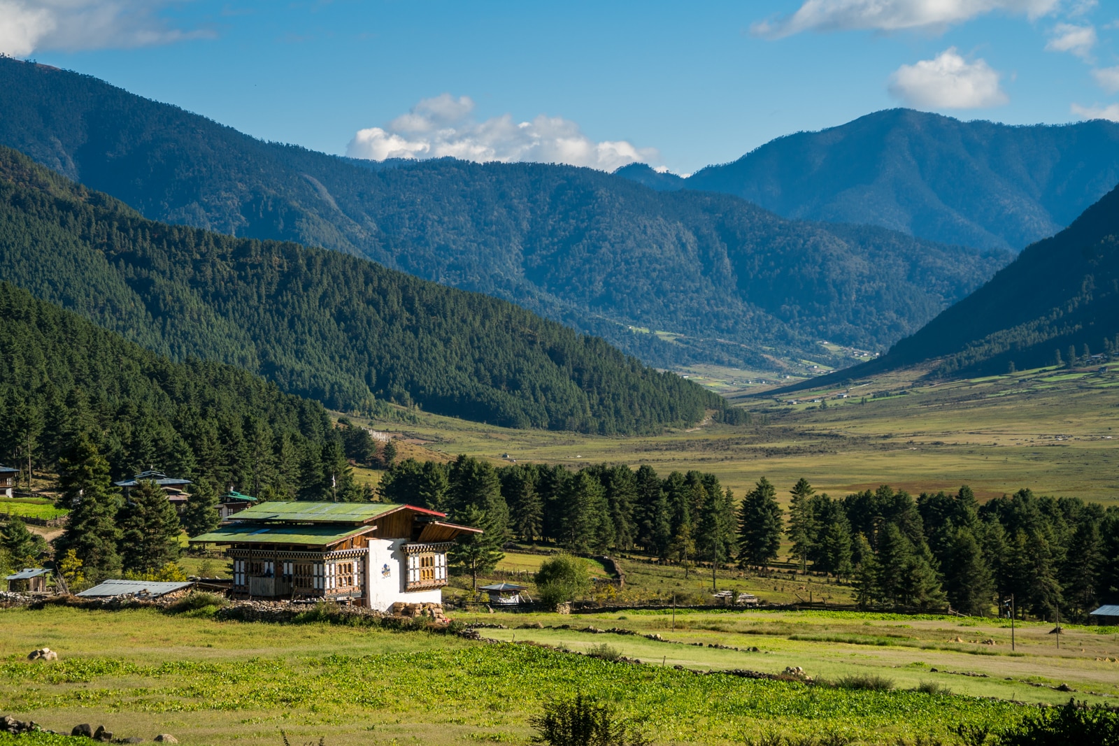 Punakha Dzong