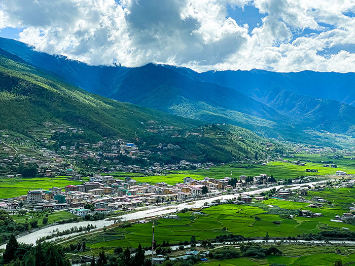 Paro view