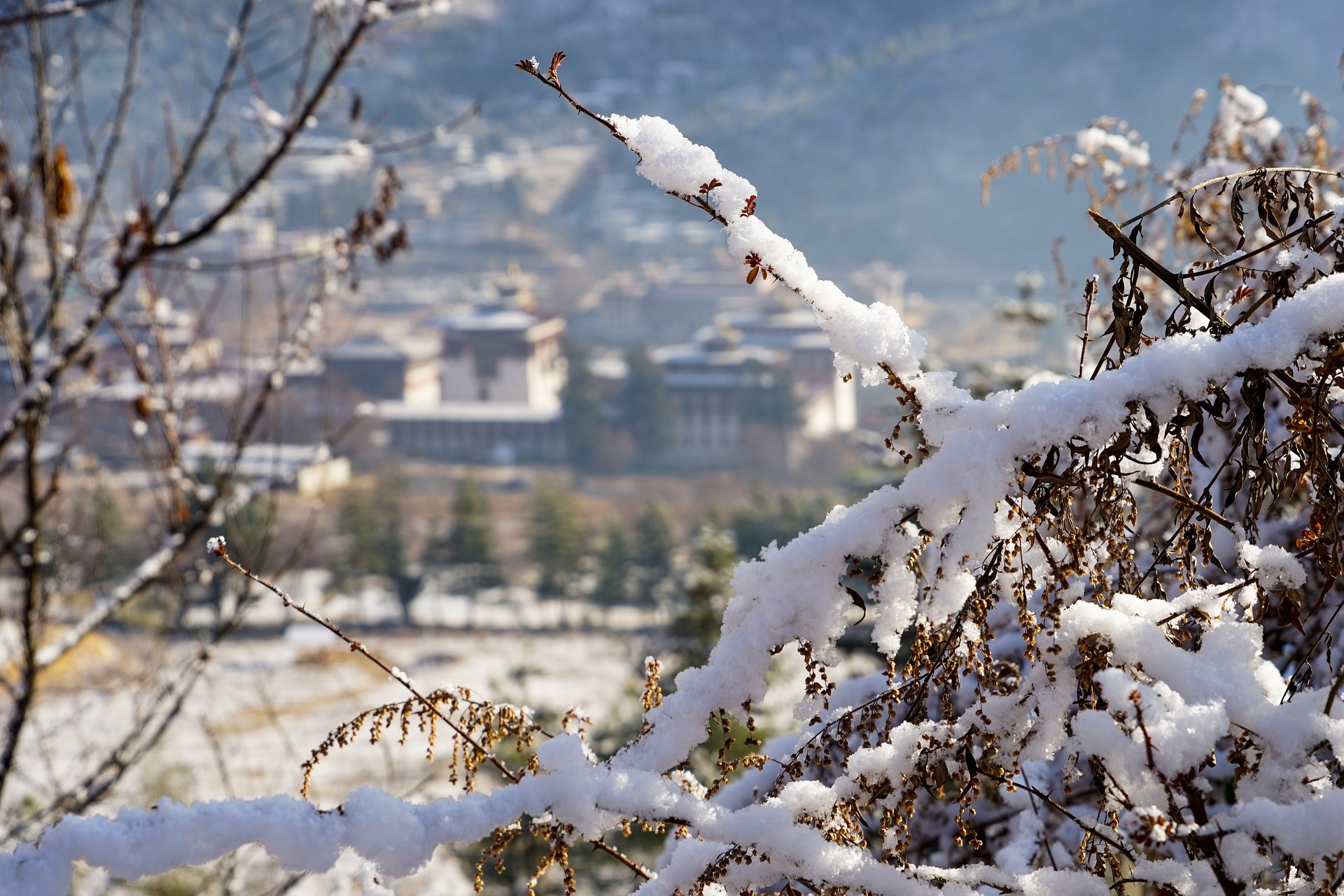 Bhutan Landscape