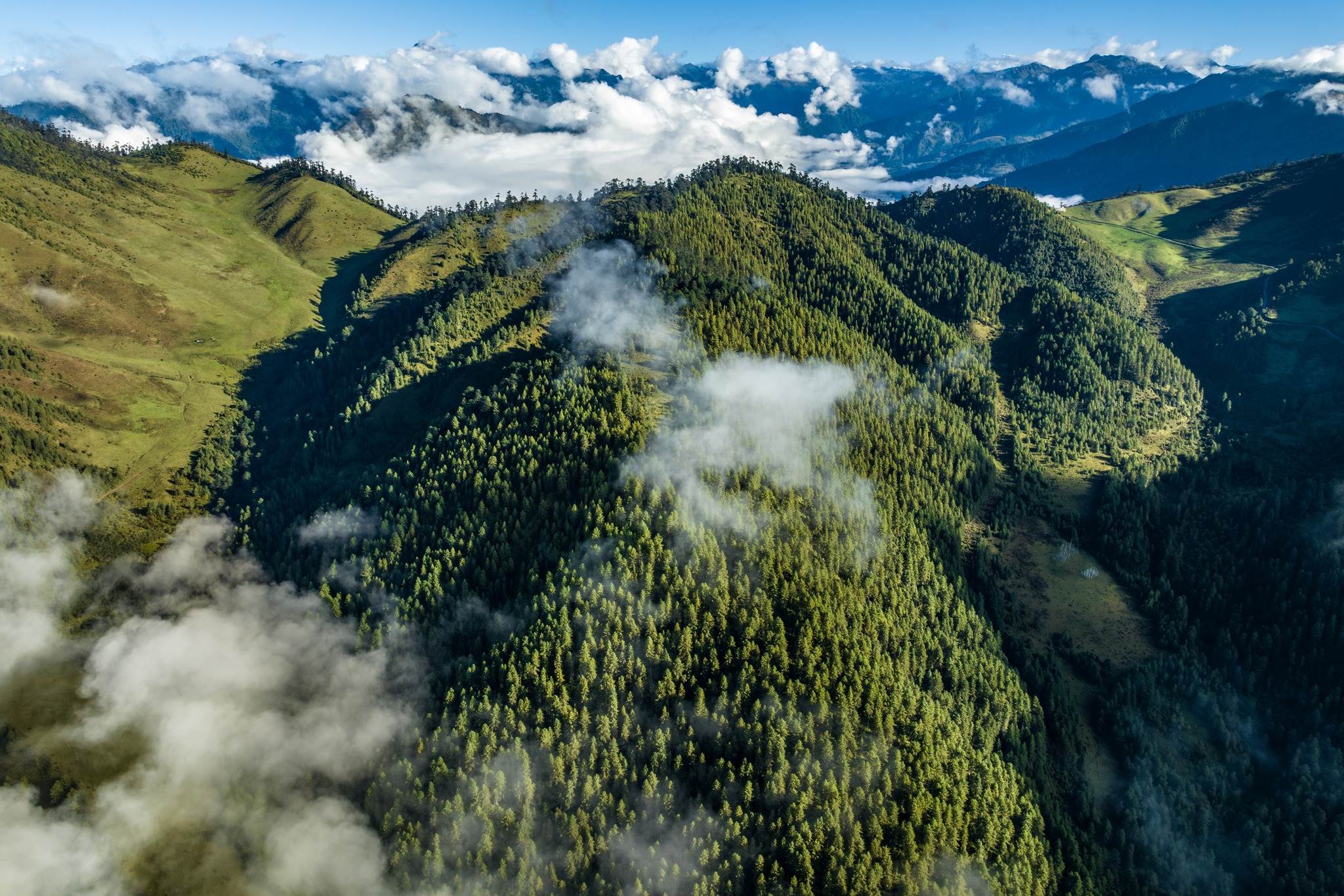 Bhutan Landscape