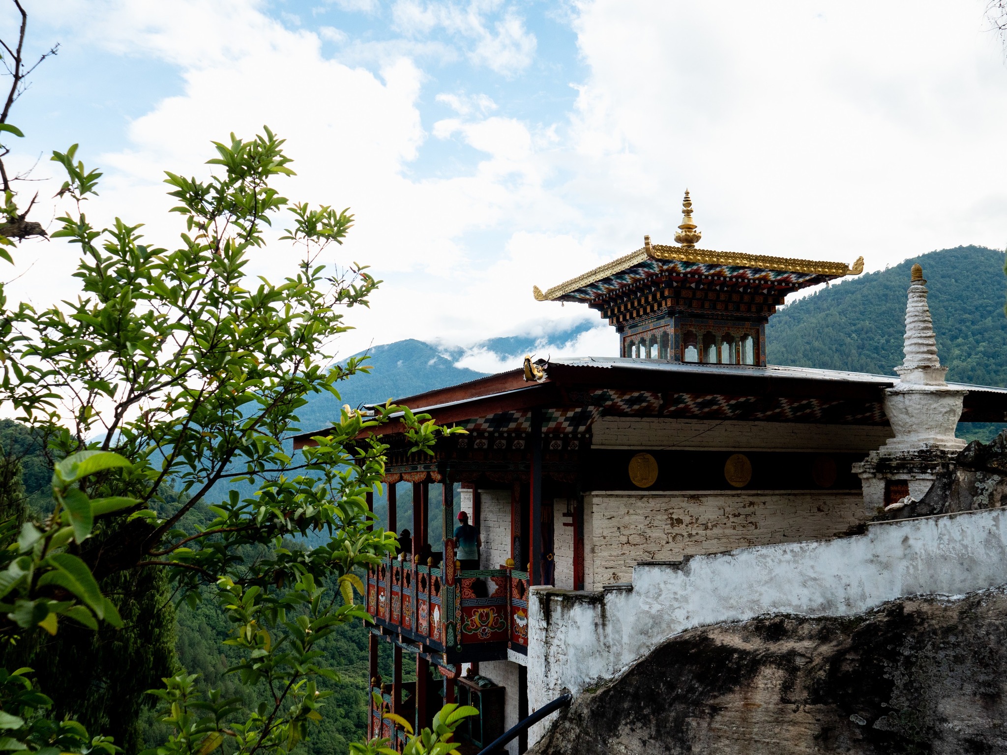 Bhutan Landscape